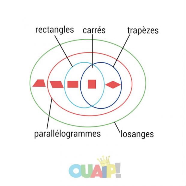 Les quadrilatères : du trapèze au carré...