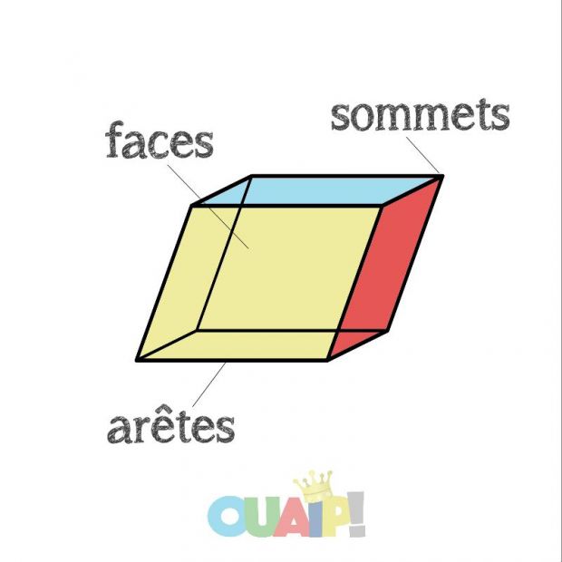 Faces, sommets et arêtes